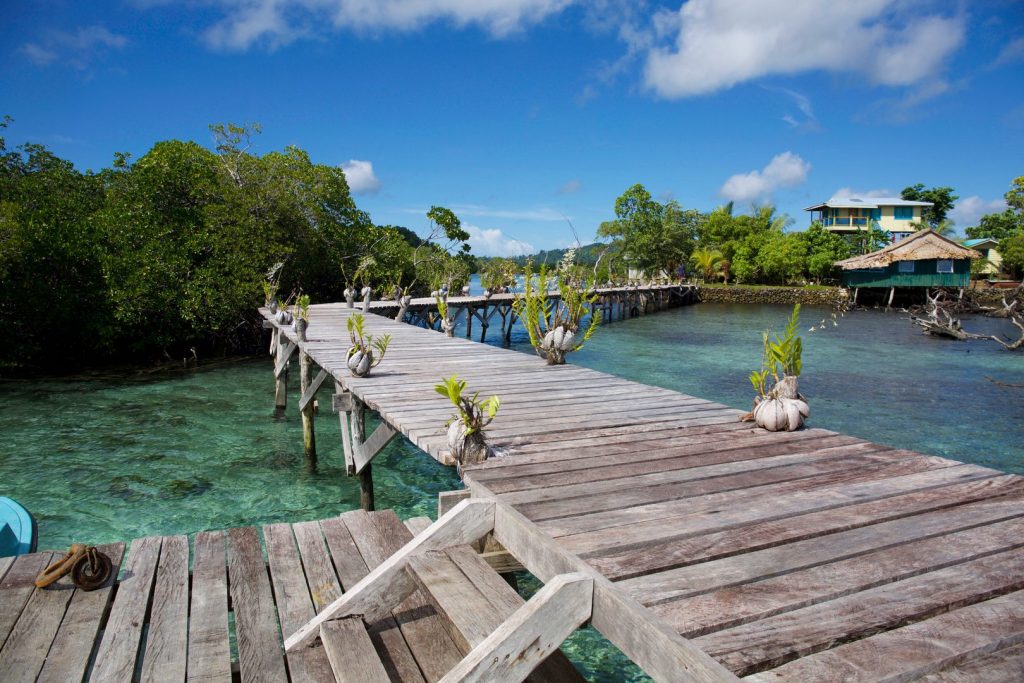 Island Homestay