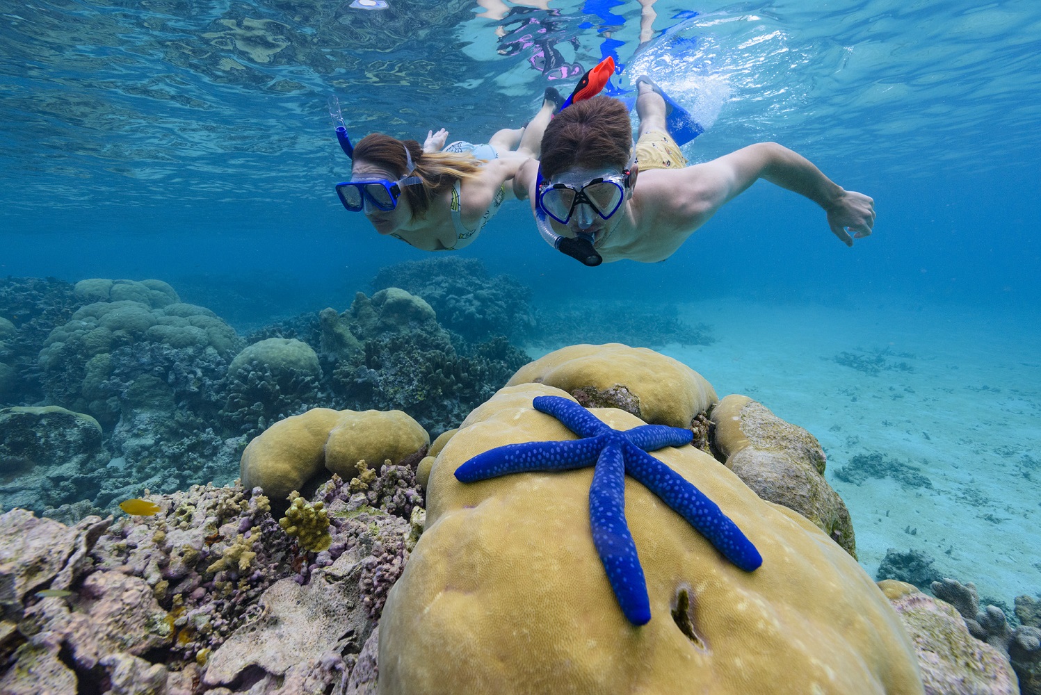Solomon Islands tourism numbers slip back into positive growth