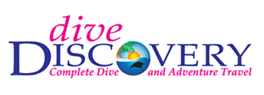 Dive Discovery